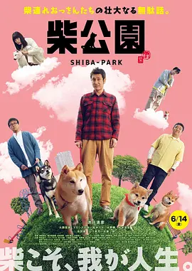 真假试探