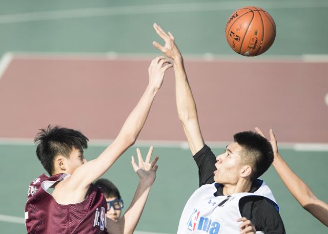 图片区 视频区