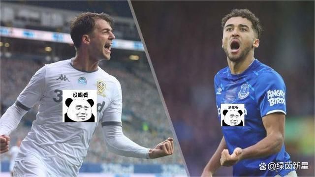 久久99精品久久久久久久野外