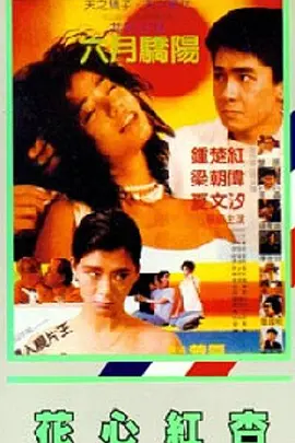 婷婷99视频精品全部在线观看