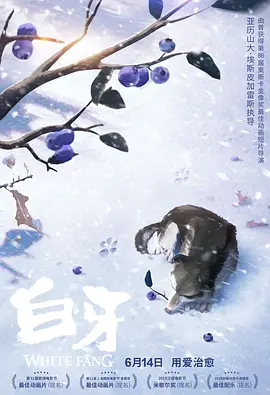 黄黄视频免费观看