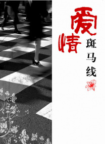 外国肥婆bbw
