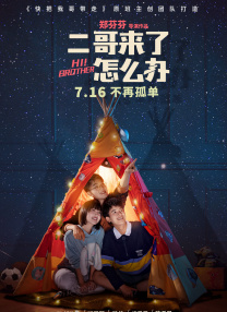 国产精品入口麻豆高清