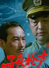 日本乱轮片