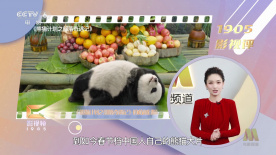 美女视频一区二区三区