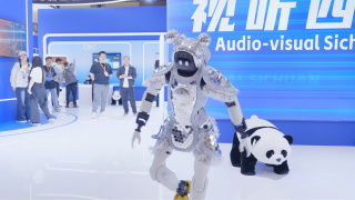 手机在线看片国产日韩生活片